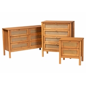 Baxton Studio Jenn Golden Brown Wood Japandi 3-Piece Storage Set with Distressed-Finished Rattan